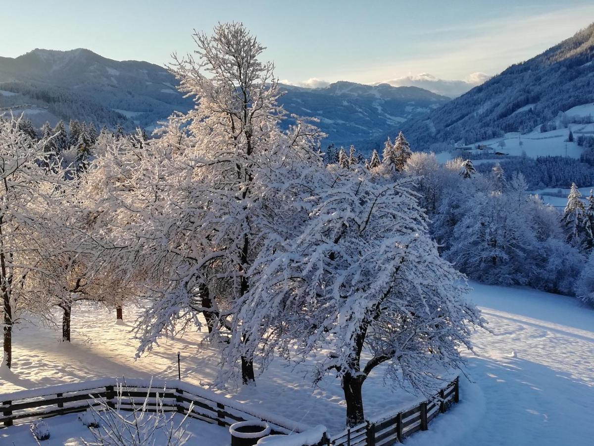 Bio-Bauernhof Einberghof Appartement Pfarrwerfen Buitenkant foto