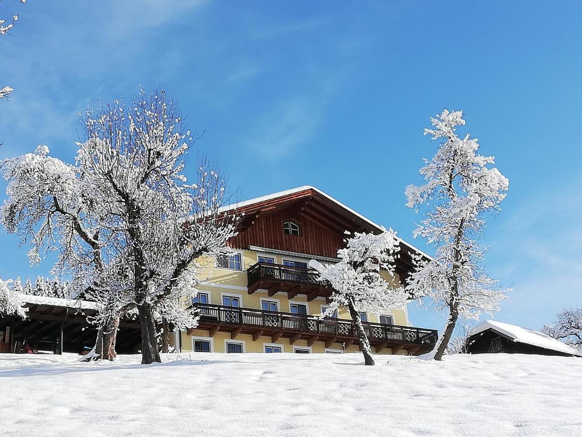 Bio-Bauernhof Einberghof Appartement Pfarrwerfen Buitenkant foto