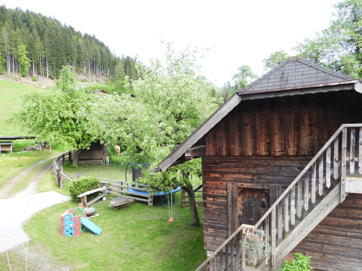 Bio-Bauernhof Einberghof Appartement Pfarrwerfen Buitenkant foto