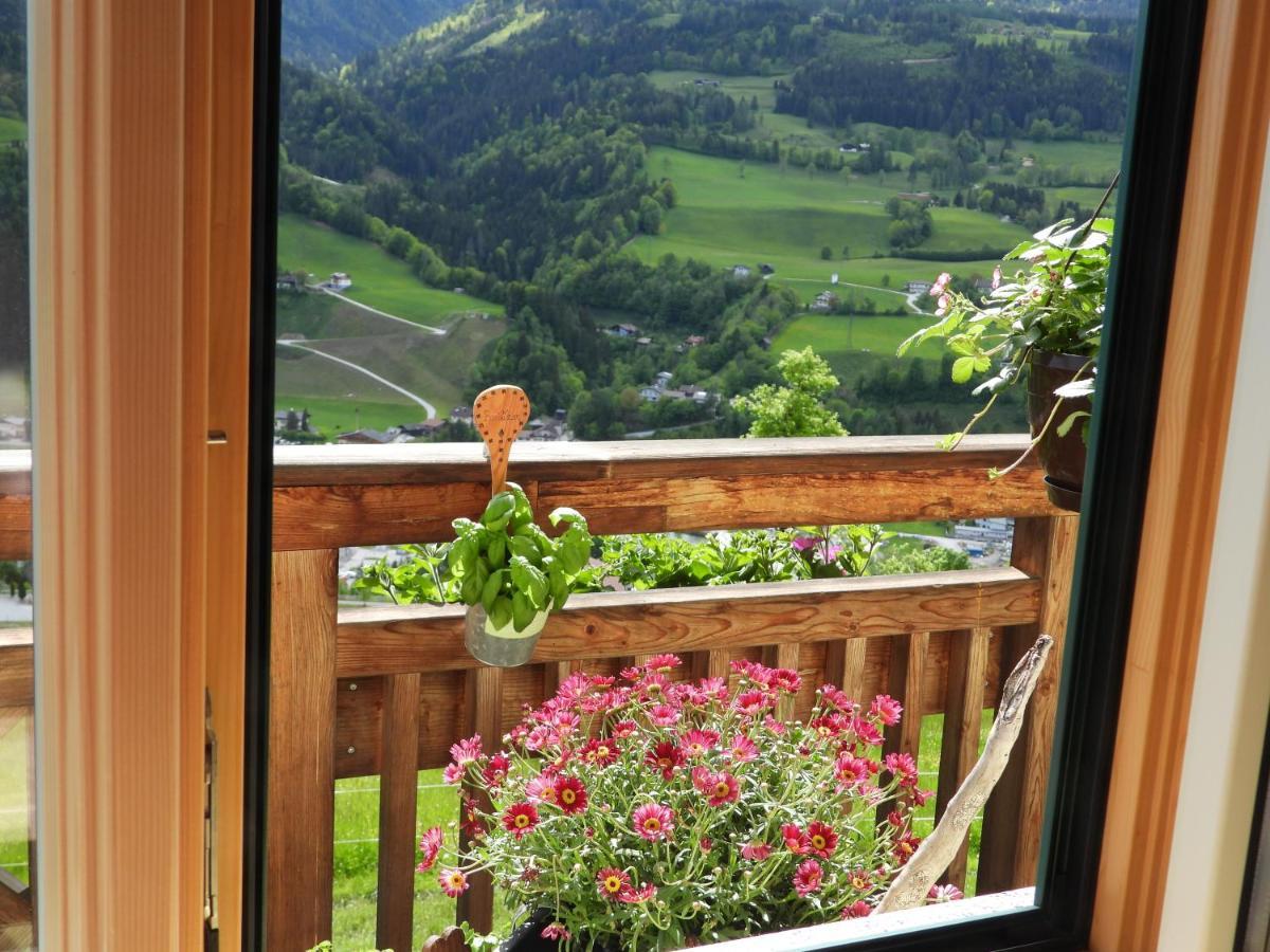 Bio-Bauernhof Einberghof Appartement Pfarrwerfen Buitenkant foto