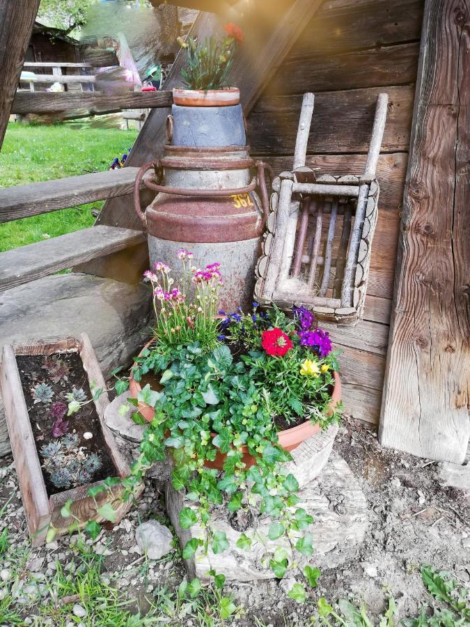 Bio-Bauernhof Einberghof Appartement Pfarrwerfen Buitenkant foto