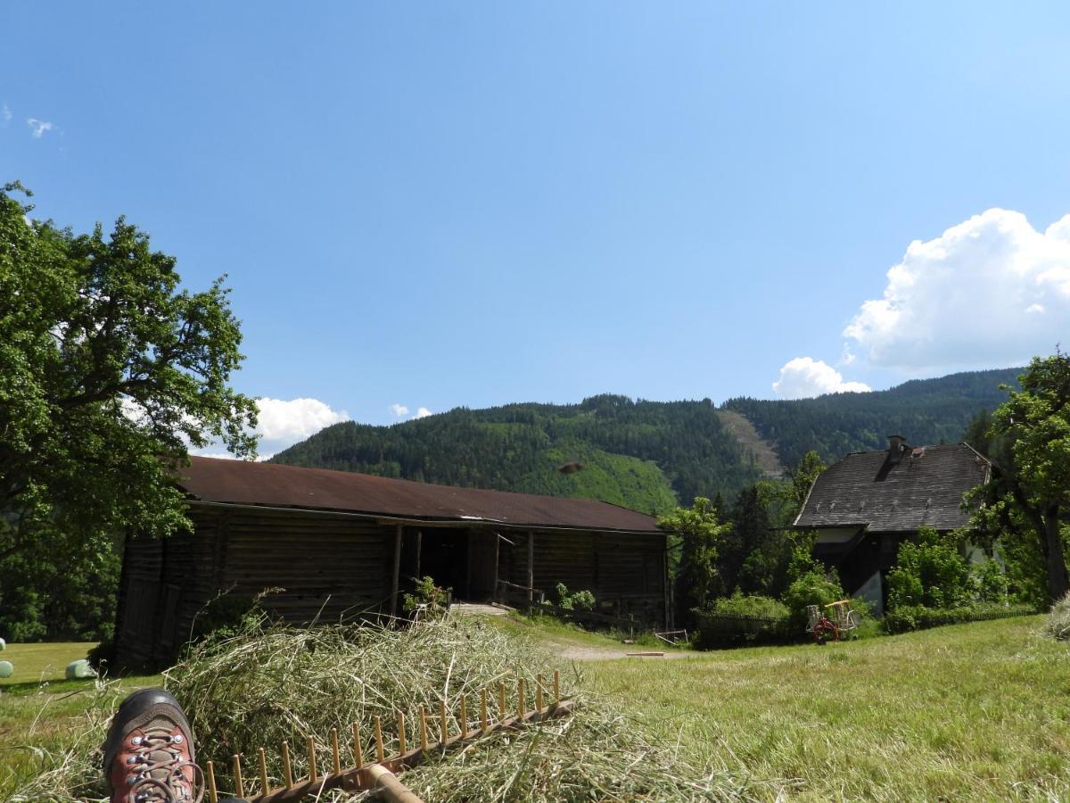 Bio-Bauernhof Einberghof Appartement Pfarrwerfen Buitenkant foto