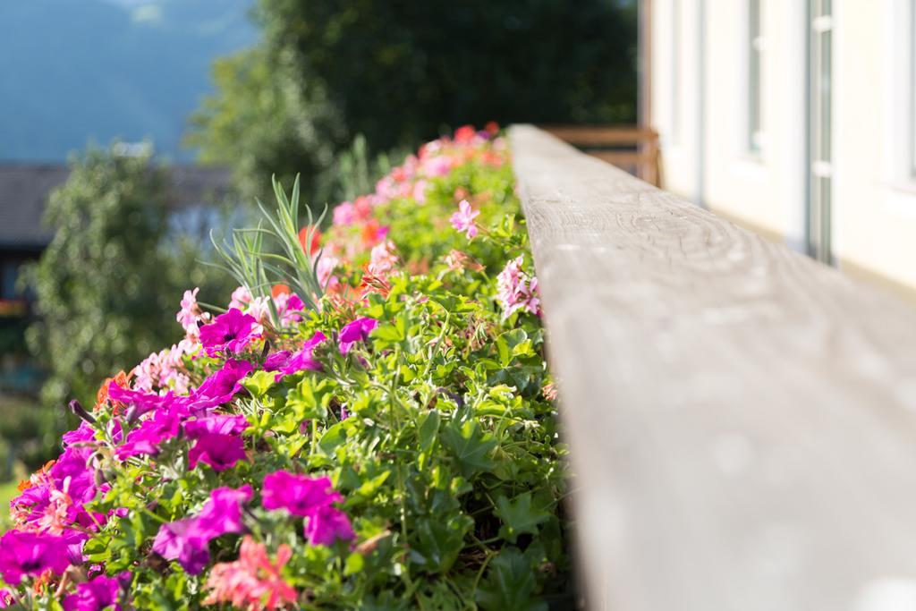 Bio-Bauernhof Einberghof Appartement Pfarrwerfen Buitenkant foto