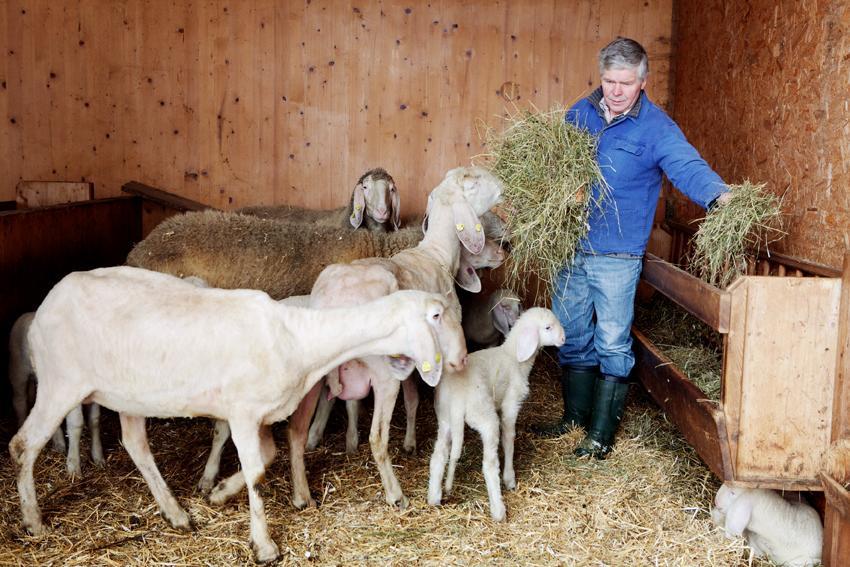 Bio-Bauernhof Einberghof Appartement Pfarrwerfen Buitenkant foto