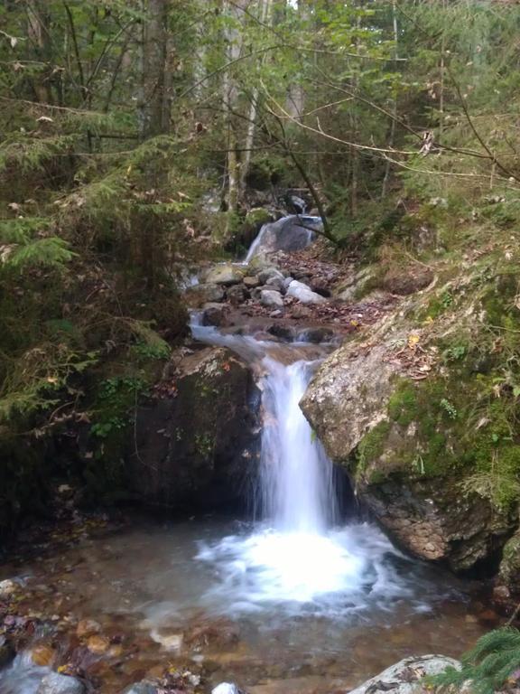 Bio-Bauernhof Einberghof Appartement Pfarrwerfen Buitenkant foto