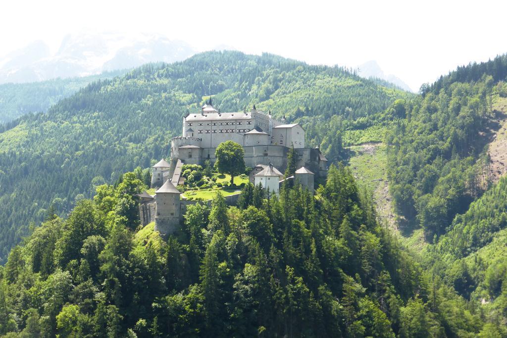 Bio-Bauernhof Einberghof Appartement Pfarrwerfen Buitenkant foto