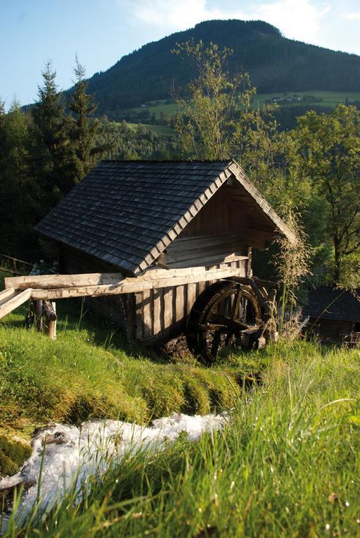 Bio-Bauernhof Einberghof Appartement Pfarrwerfen Buitenkant foto