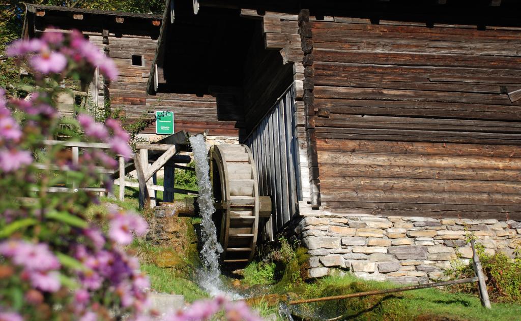 Bio-Bauernhof Einberghof Appartement Pfarrwerfen Buitenkant foto