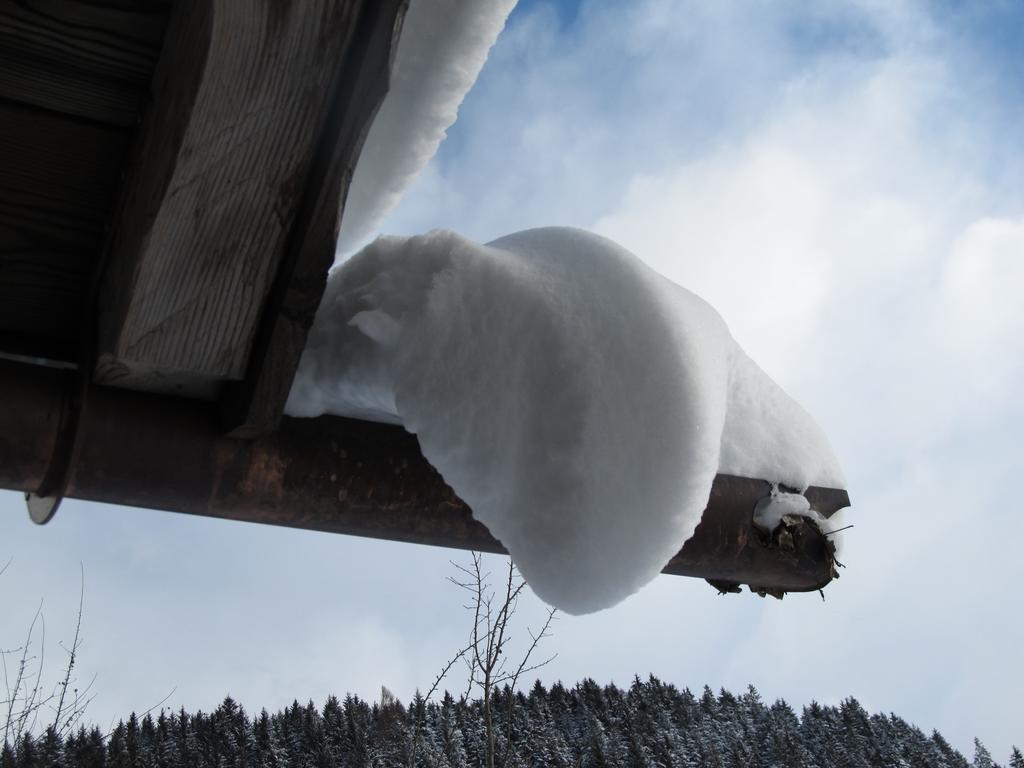 Bio-Bauernhof Einberghof Appartement Pfarrwerfen Buitenkant foto