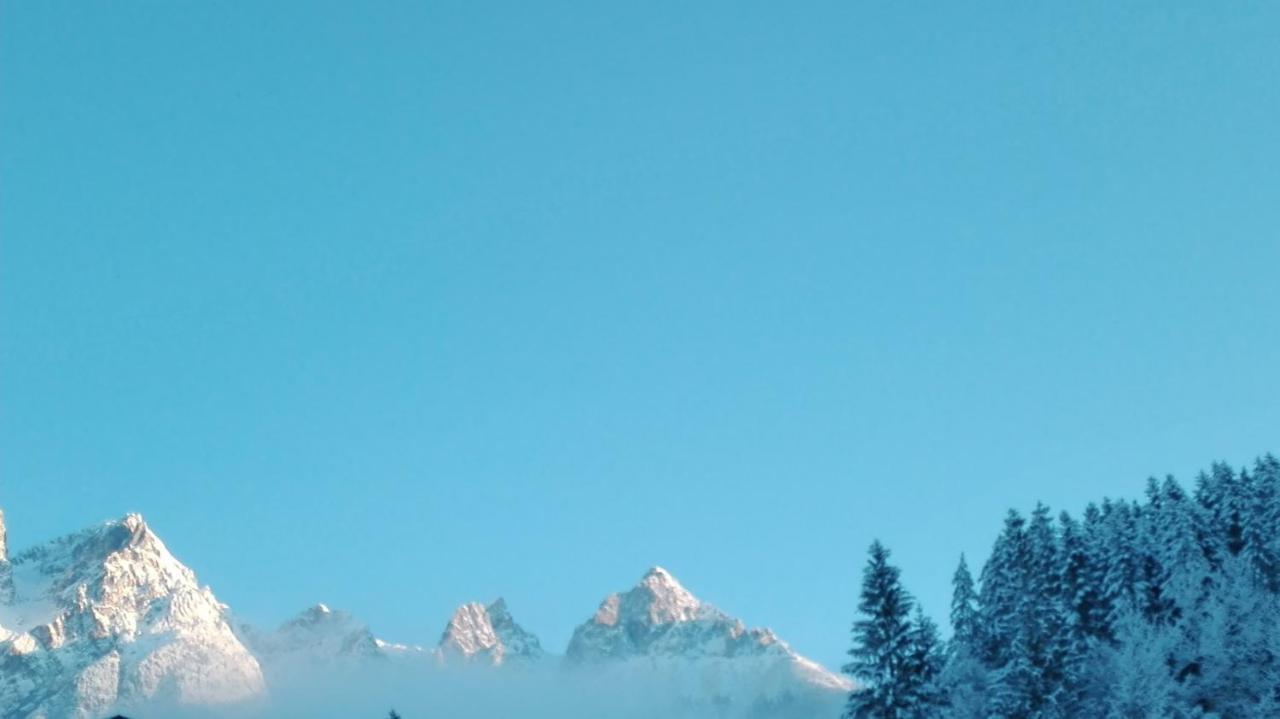 Bio-Bauernhof Einberghof Appartement Pfarrwerfen Buitenkant foto